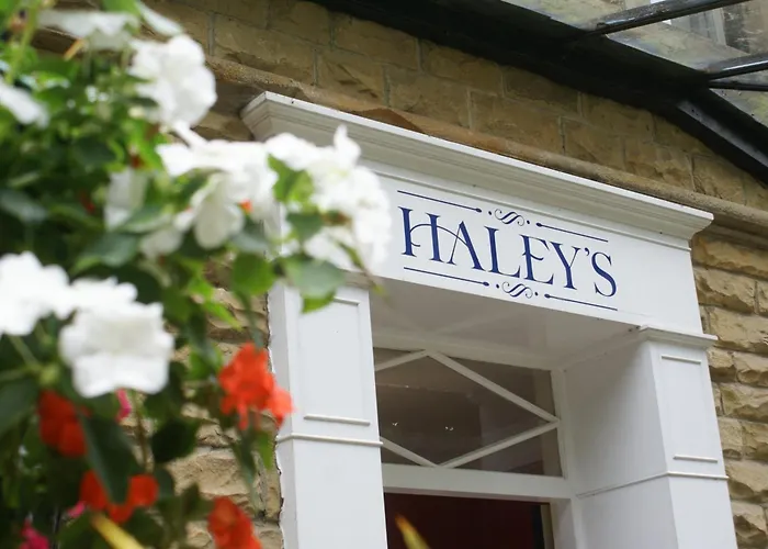 Готель Haley's