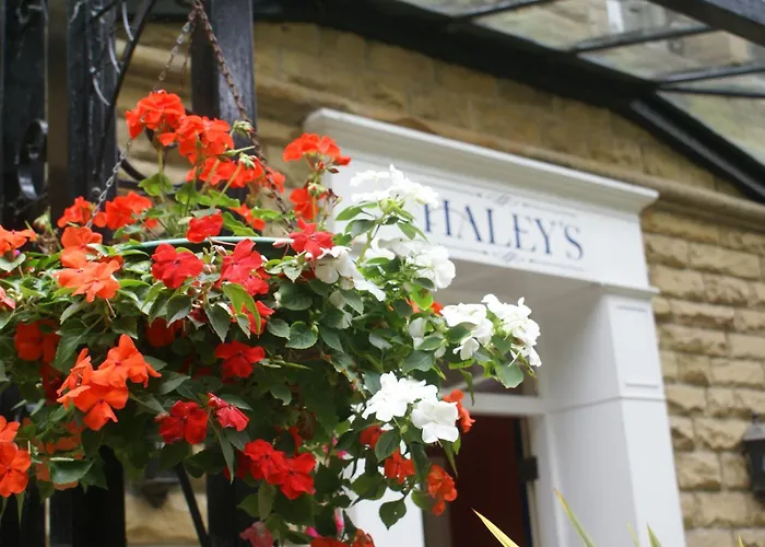 Haley's Готель