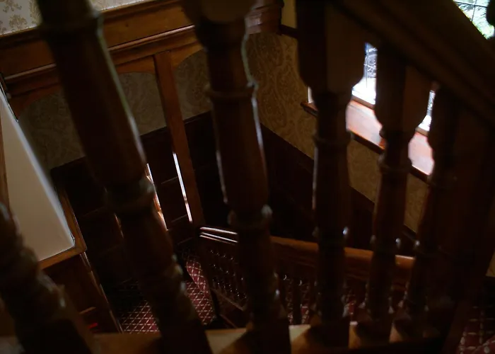 Готель Haley's