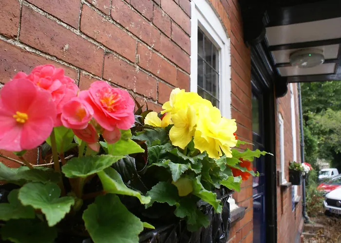 Haley's Leeds (West Yorkshire)