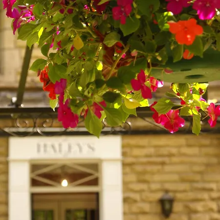 Haley's Hotel 3*