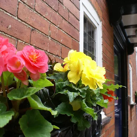 Haley's Leeds (West Yorkshire)