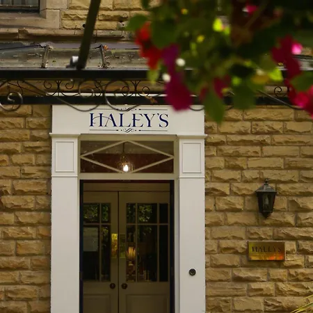 Haley's