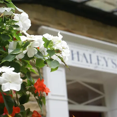 Haley's 3*